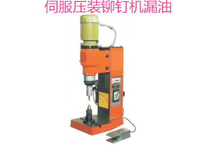 伺服壓裝鉚釘機漏油的原因有哪些？